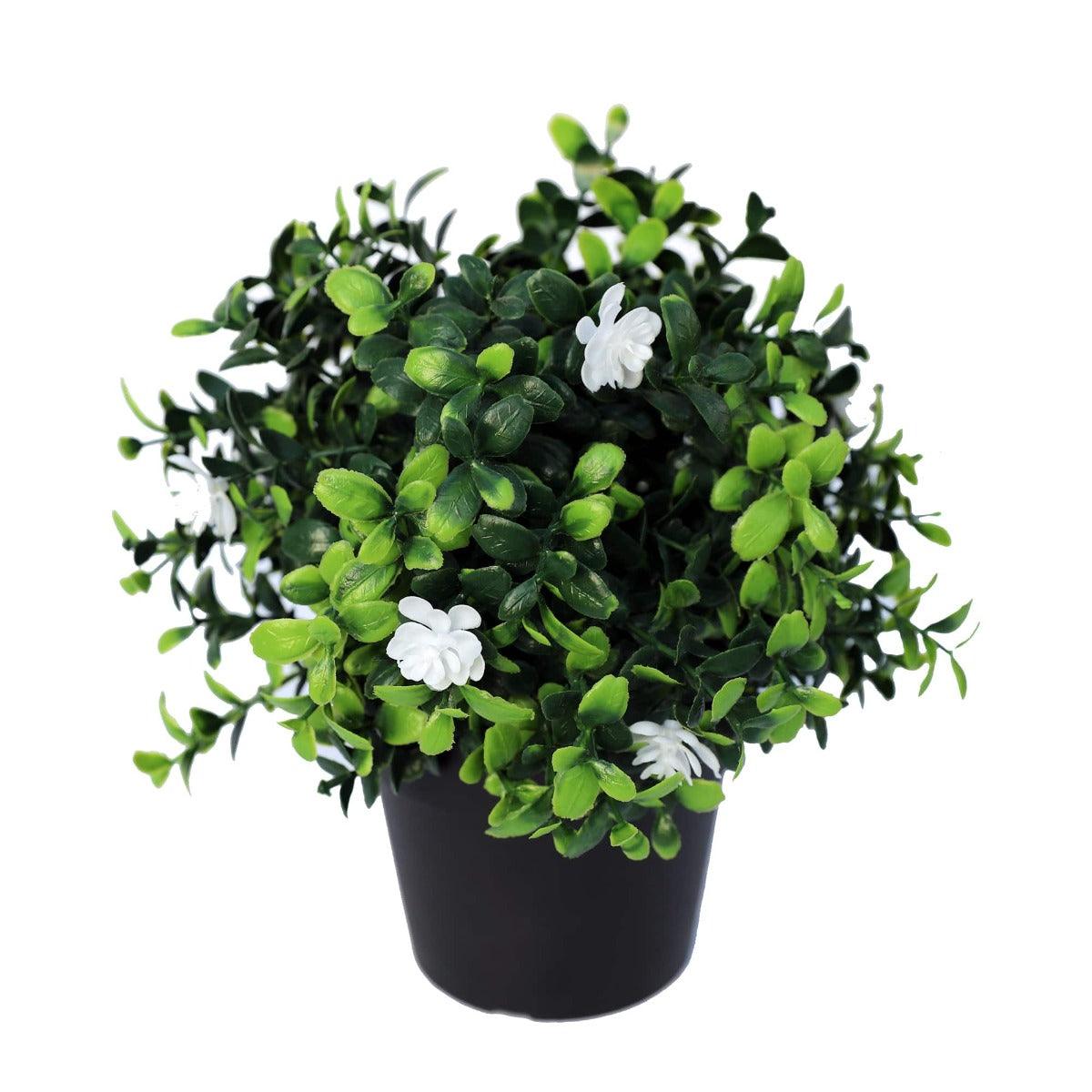 Small Potted Artificial Flowering Boxwood Plant UV Resistant 20cm