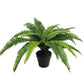 Artificial Potted Natural Green Boston Fern (50cm high 70cm wide)
