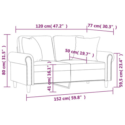 2-Seater Sofa with Throw Pillows Black 120 cm Velvet