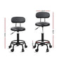 Artiss Salon Stool Swivel Barber Chairs Hairdressing Backrest Hydraulic Height
