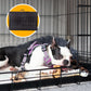 4Paws Dog Cage Pet Crate Cat Puppy Metal Cage ABS Tray Foldable Portable Black - 36" - Black