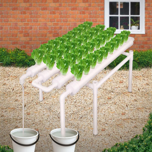36 Sites Hydroponic Grow Tool Kits Vegetable Garden System 220V Water Pump