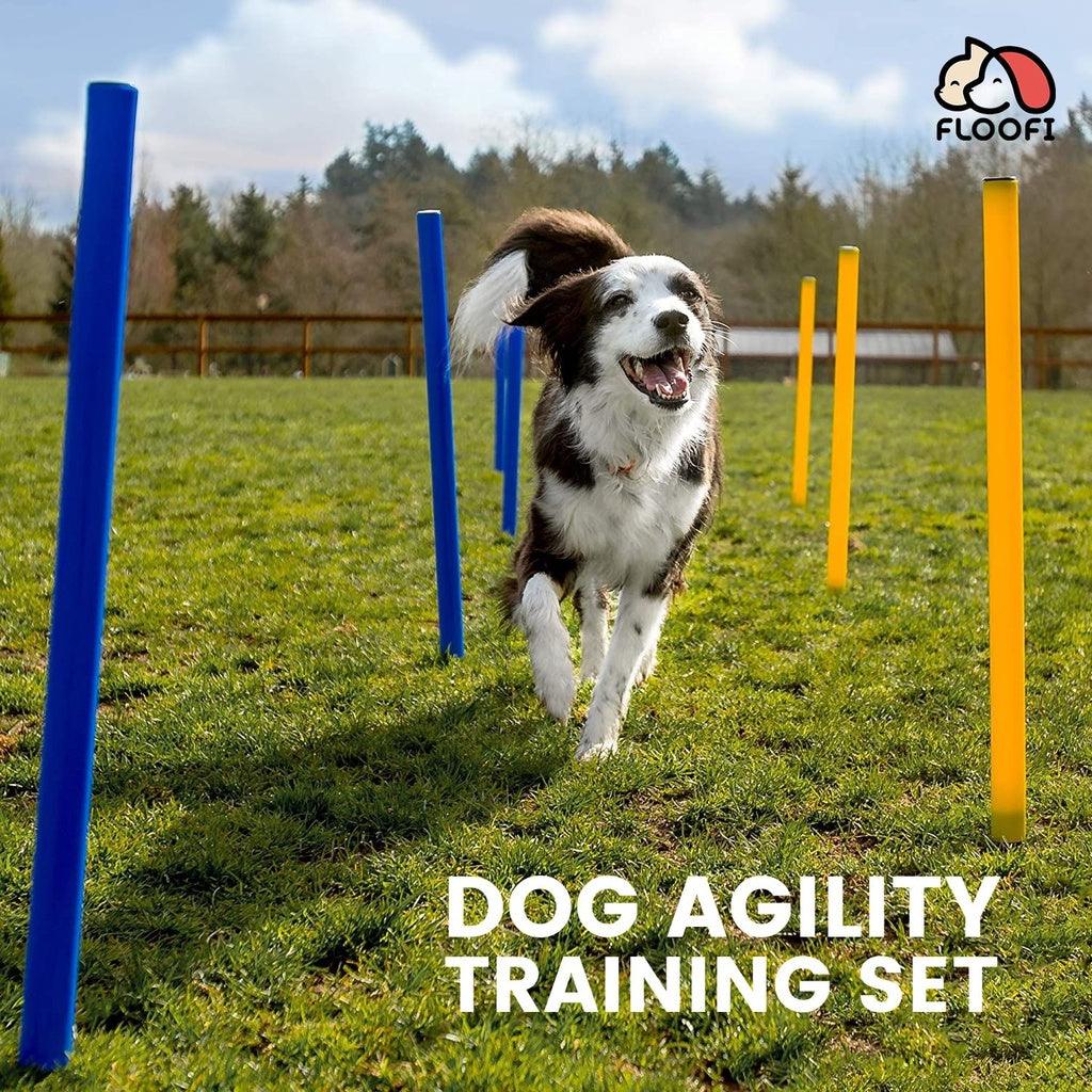 Floofi Dog Agility Training Set FI-DGT-100-SL / FI-DGT-100-YX