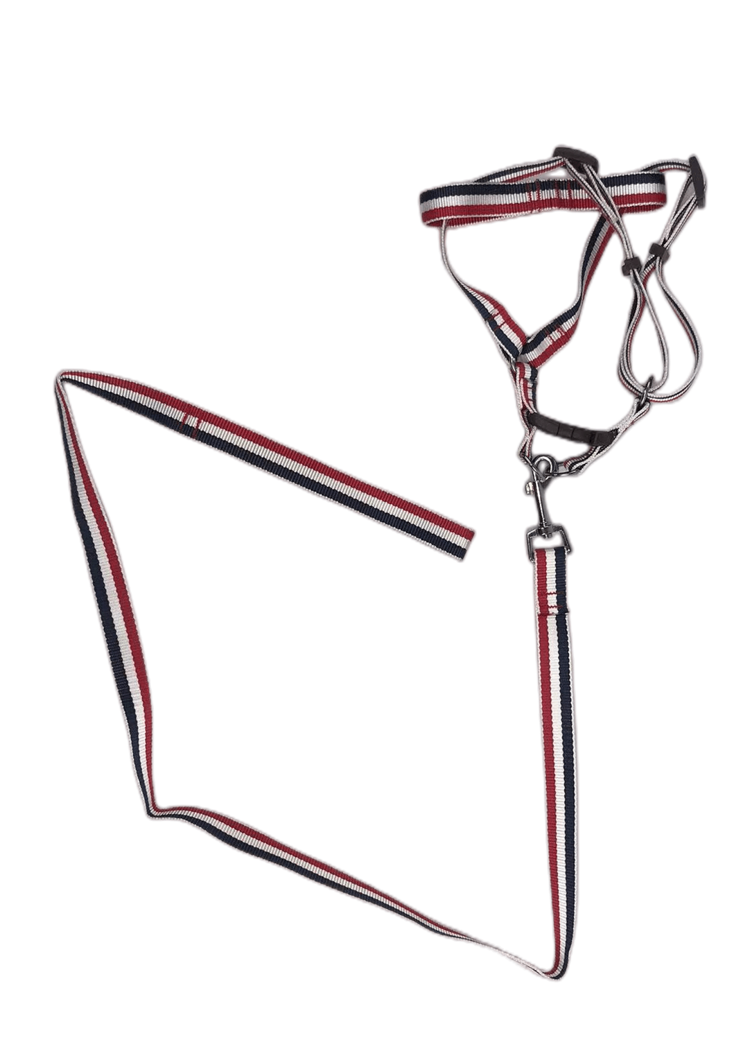 2 X Large Pet Dog Harness Collar leash lead