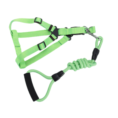 2 X Medium Pet Dog Cat Puppy Kitten Rabbit Dog Harness Collar leash lead 3 Color