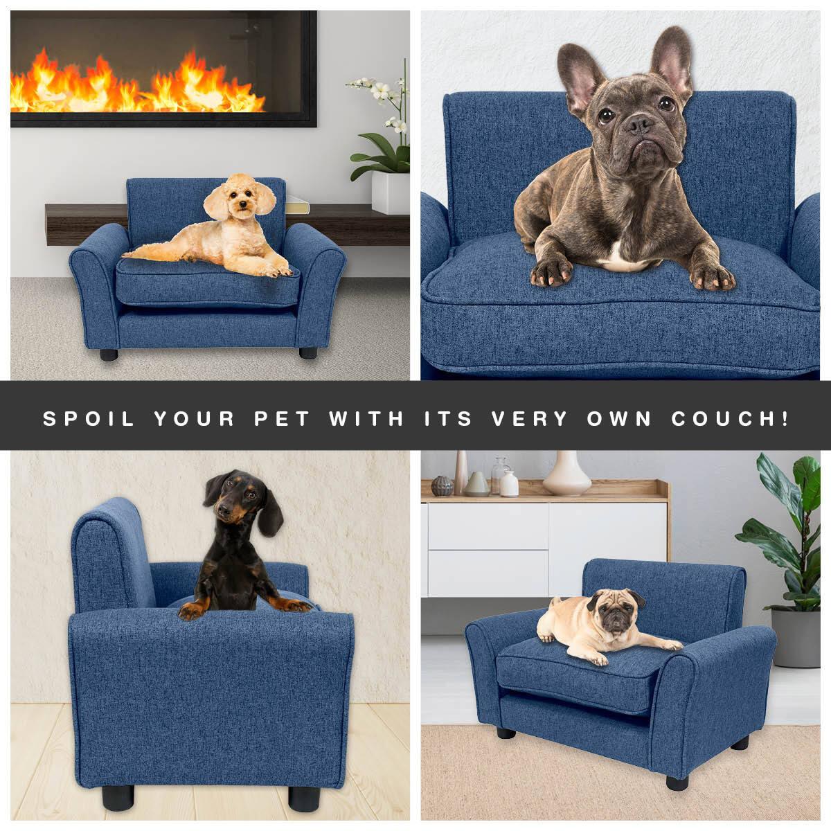 Pet Basic Pet Chair Bed Stylish Luxurious Sturdy Washable Fabric Blue 65cm