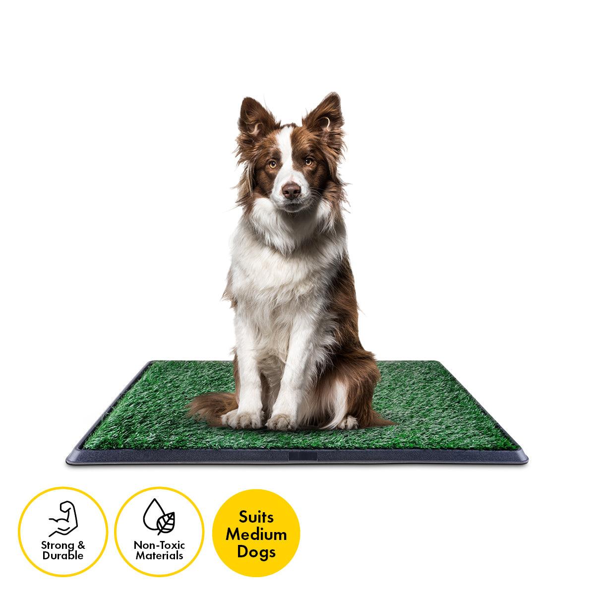 Pet Basic Portable Dog Potty Trainer 3 Layer System Odour Resistant 76 x 50cm