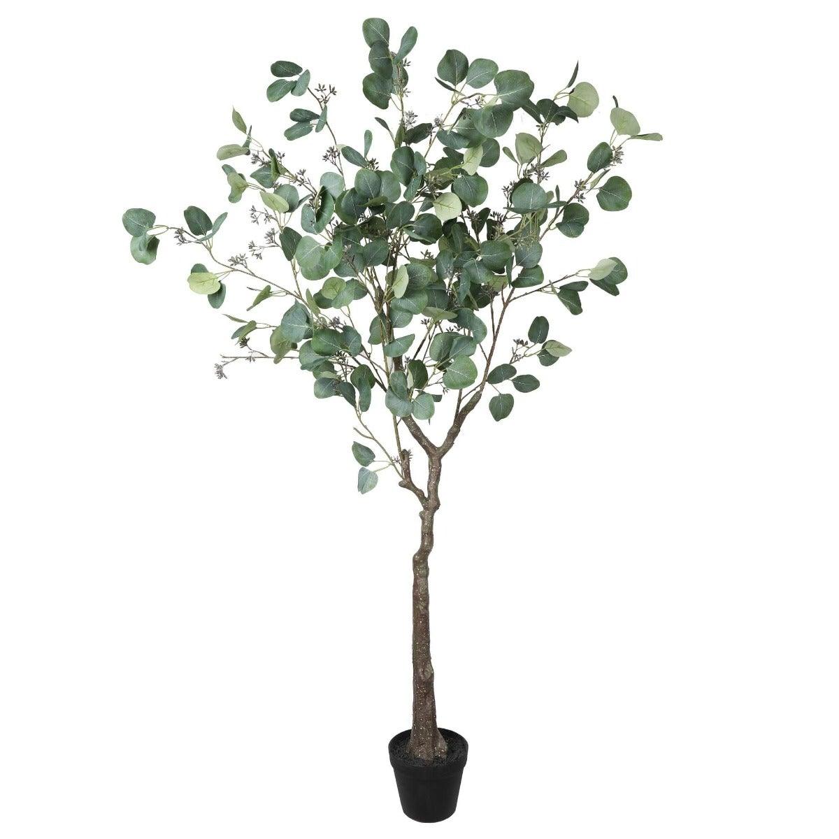Artificial Eucalyptus Tree (Red Box Eucalyptus Polyanthemos) 150cm