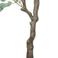 Artificial Eucalyptus Tree (Red Box Eucalyptus Polyanthemos) 150cm