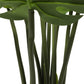 Split Philodendron (Split Leaf) 120cm