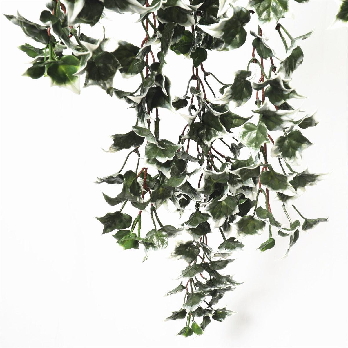 Mixed Green and White Tipped Ivy Bush 80cm UV Resistant
