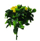Flowering Yellow Rose Stem UV Resistant 30cm