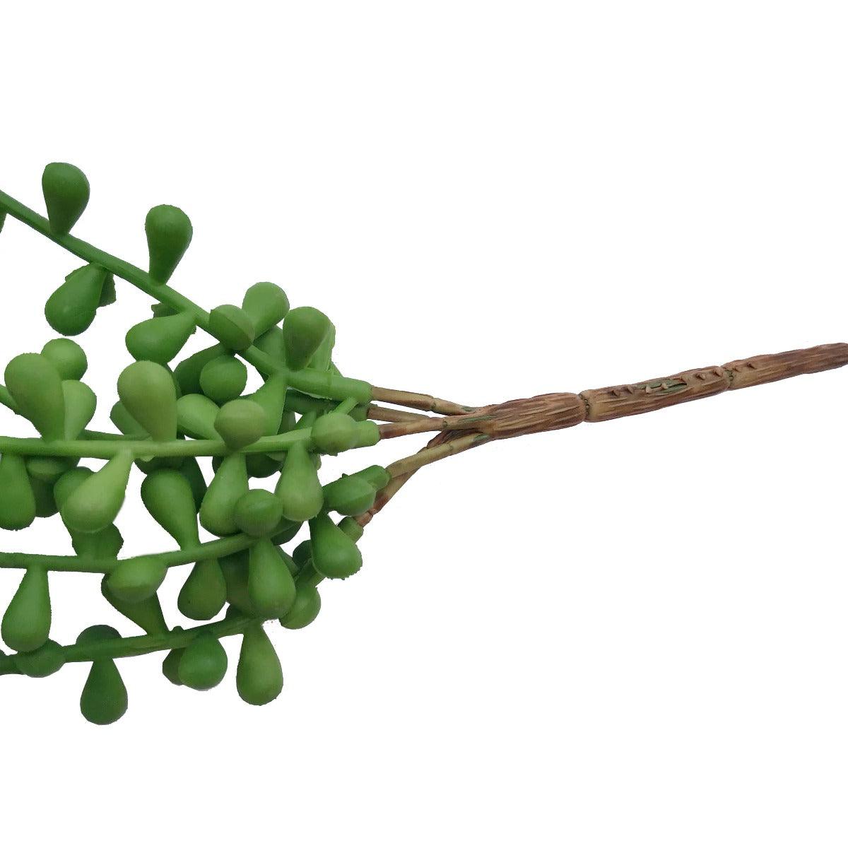 Hanging Succulent String of Pearl Beads 75cm