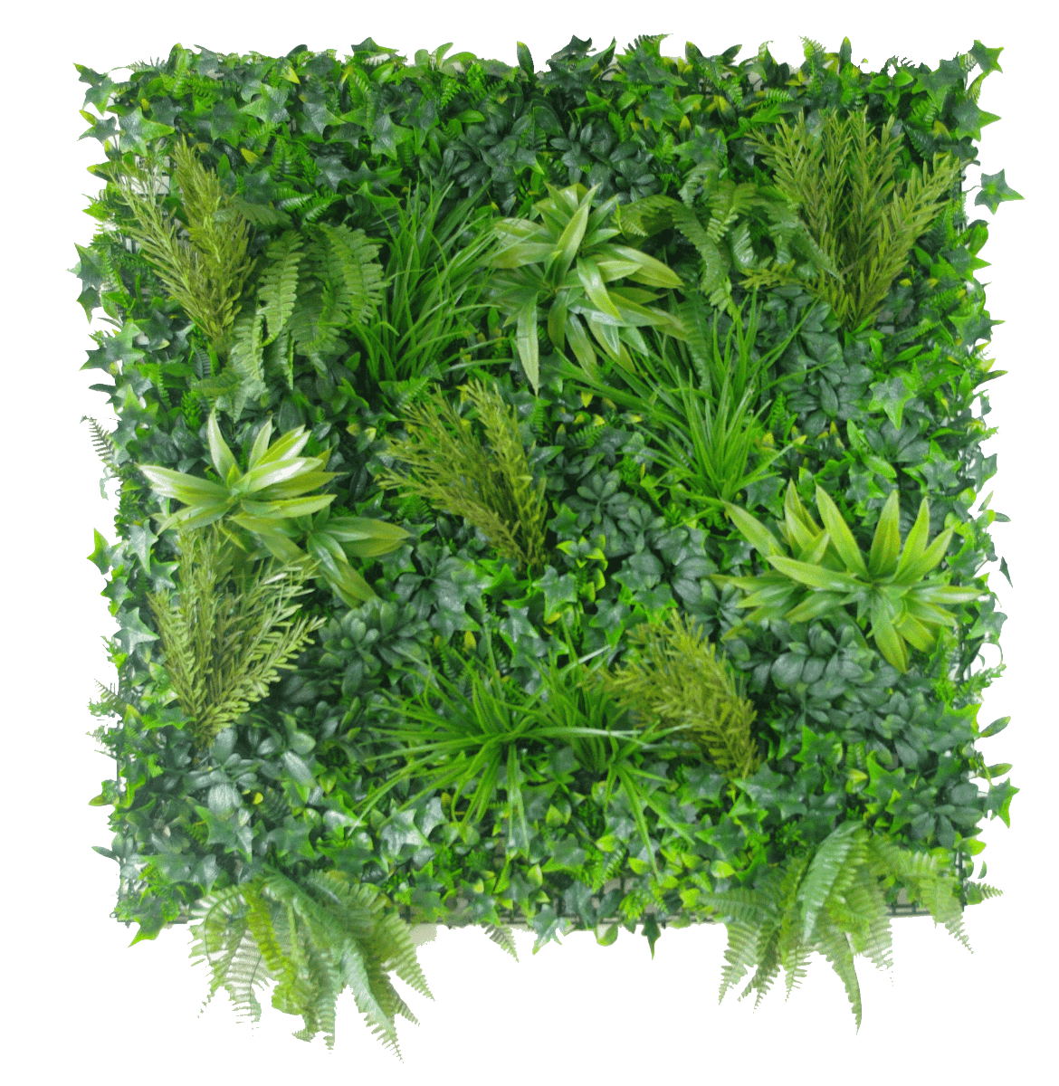 Native Tea Tree Vertical Garden / Green Wall UV Resistant 100cm x 100cm