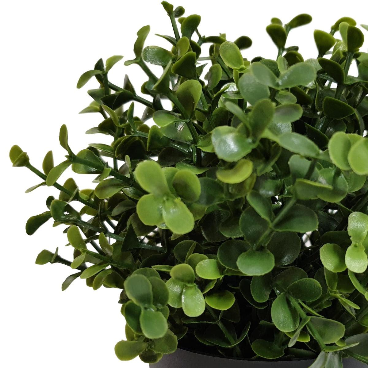Small Potted Artificial Buxus Plant UV Resistant 20cm